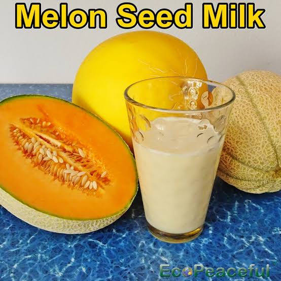 https://carebeautyco.com/how-to-make-melon-seed-milk/